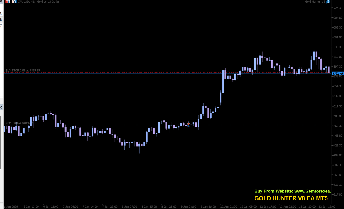 Gold Hunter V8 MT5 NO DLL