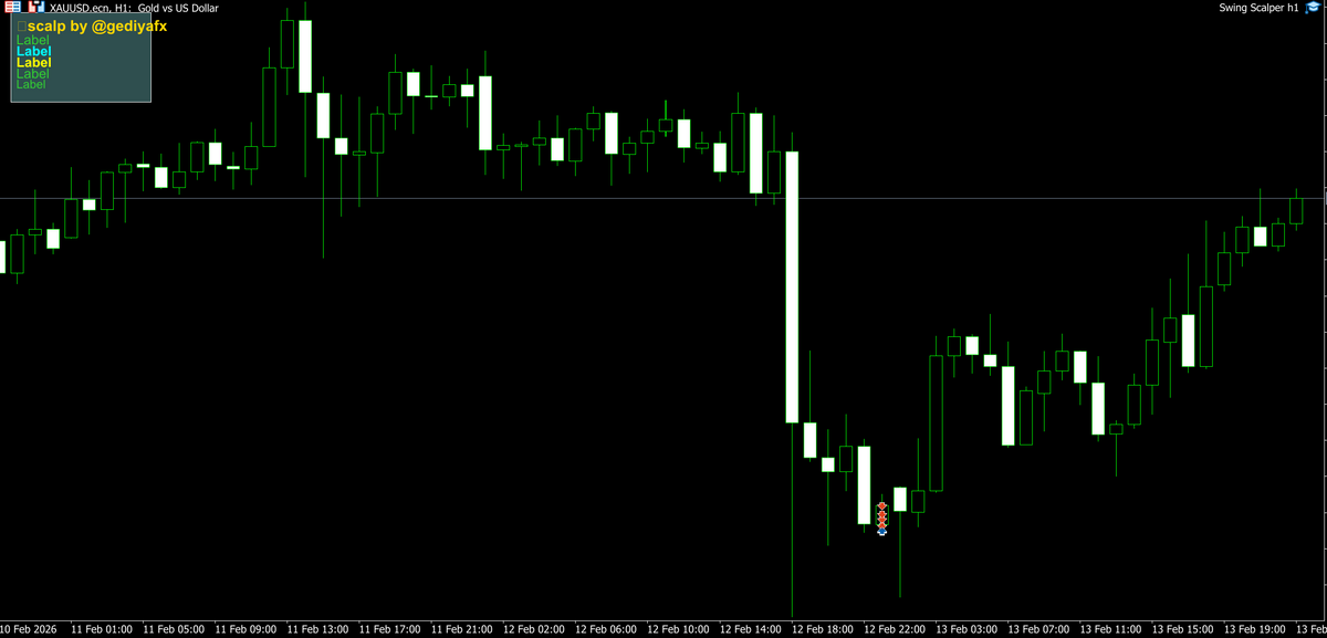 SWING SCALPER MT5 NO DLL