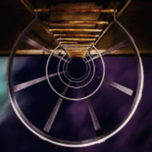 Circular metallic structure with concentric rings on a dark background