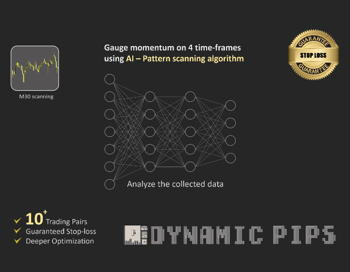 Dynamic Pips V2.2 MT4 NO DLL