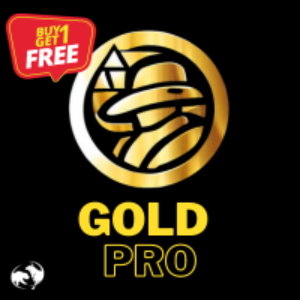 GoldPro V1.09 MT4 NO DLL