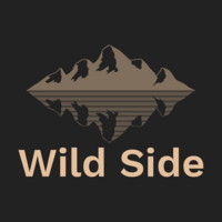 Wild Side EA MT4  V 1.81